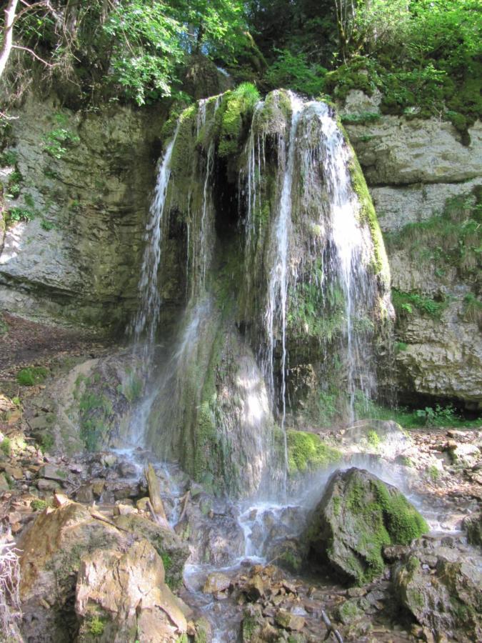 Roetenbacher Wiesen Friedenweiler Buitenkant foto