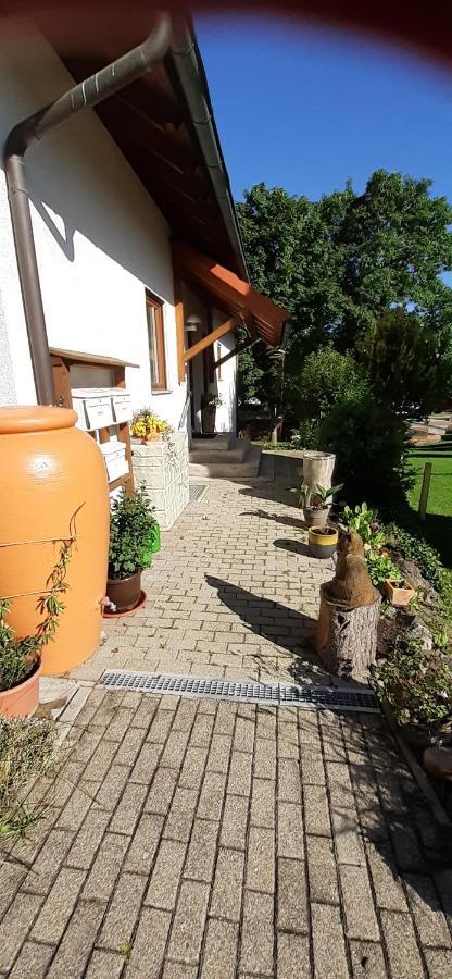 Roetenbacher Wiesen Friedenweiler Buitenkant foto